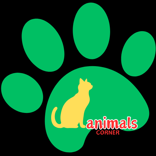 animalscorner.com